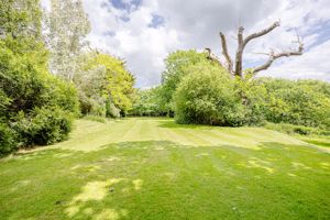 Photo 29- click for photo gallery